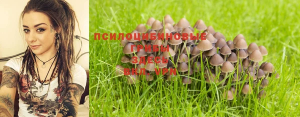 ешки Балахна