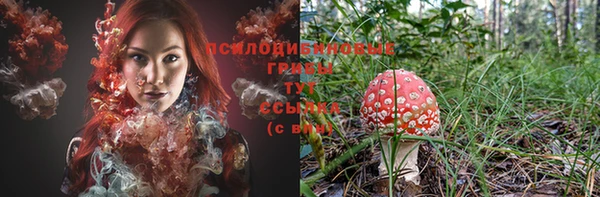 эйфоретик Баксан
