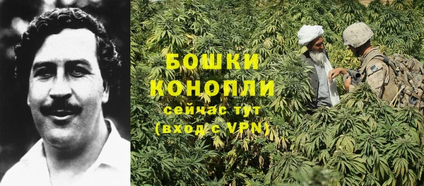 дурь Белоозёрский