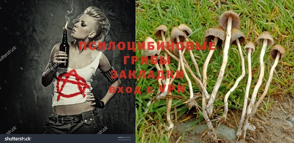 ешки Балахна