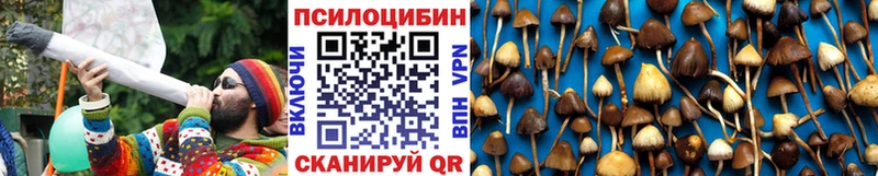 Псилоцибиновые грибы мицелий  Яблоновский 